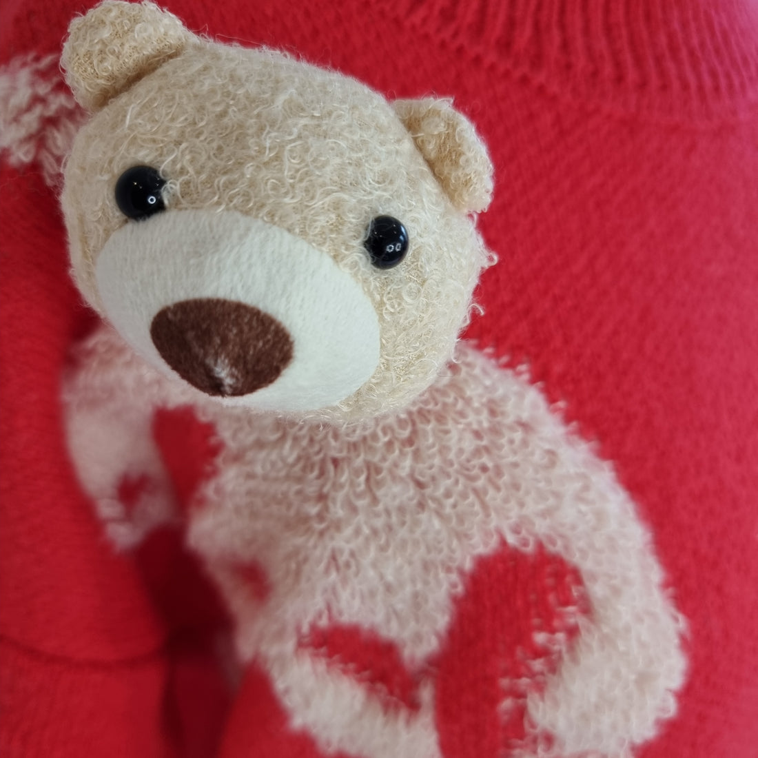 Teddy Bear Red Sweater