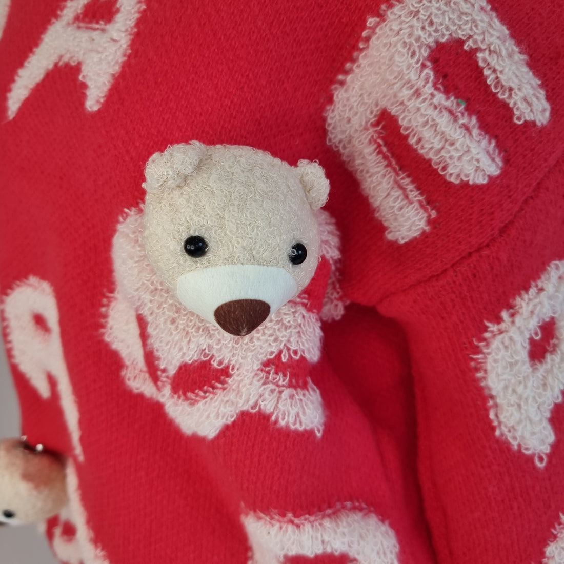 Teddy Bear Red Sweater